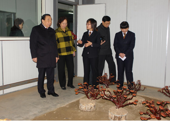 pp电子·奥林匹斯之门1000倍(电子·游戏)最新集团官网 pp电子·奥林匹斯之门1000倍(电子·游戏)最新集团官网