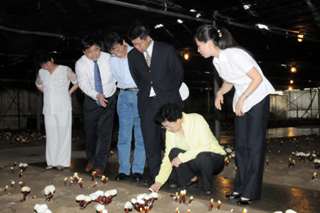 pp电子·奥林匹斯之门1000倍(电子·游戏)最新集团官网 pp电子·奥林匹斯之门1000倍(电子·游戏)最新集团官网